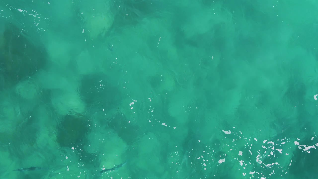Turquoise ocean water with dark underwater patches and small fish shapes