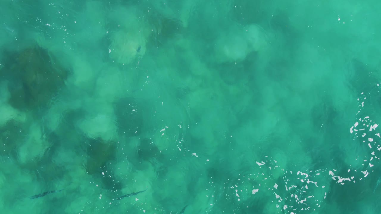 Top-down frame of clear green-blue ocean at Buzzards Beach East Cape BCS Mexico, showing mottled underwater coral texture, a small dark fish silhouette near the lower left, bright foam flecks, and no visible people.