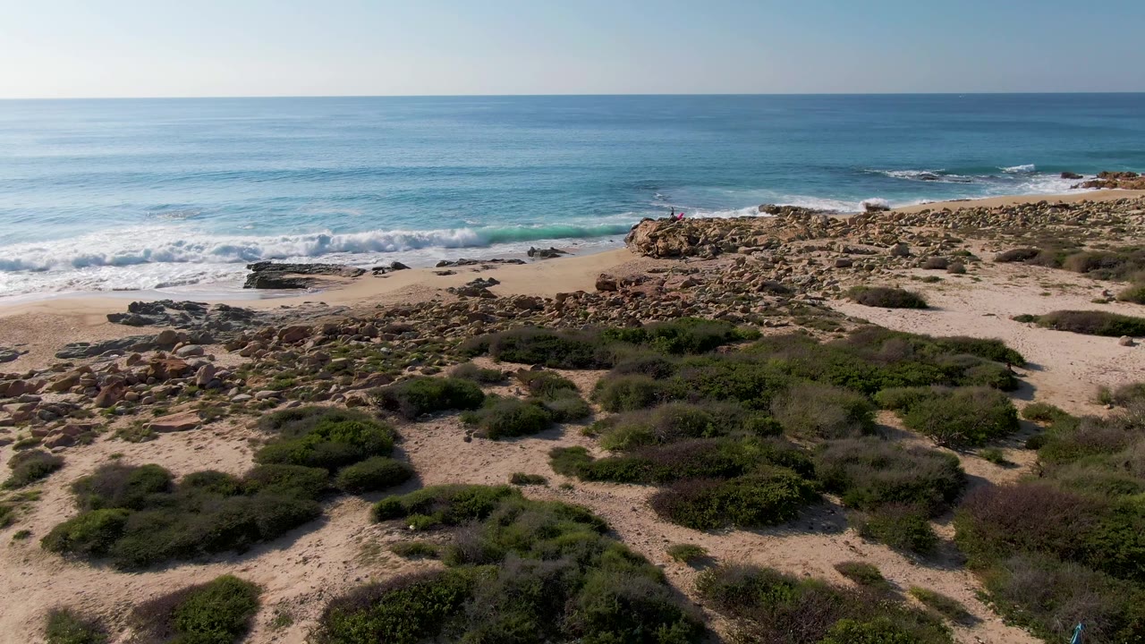 Surf rolls toward rocks and sand with scrub vegetation in the foreground.