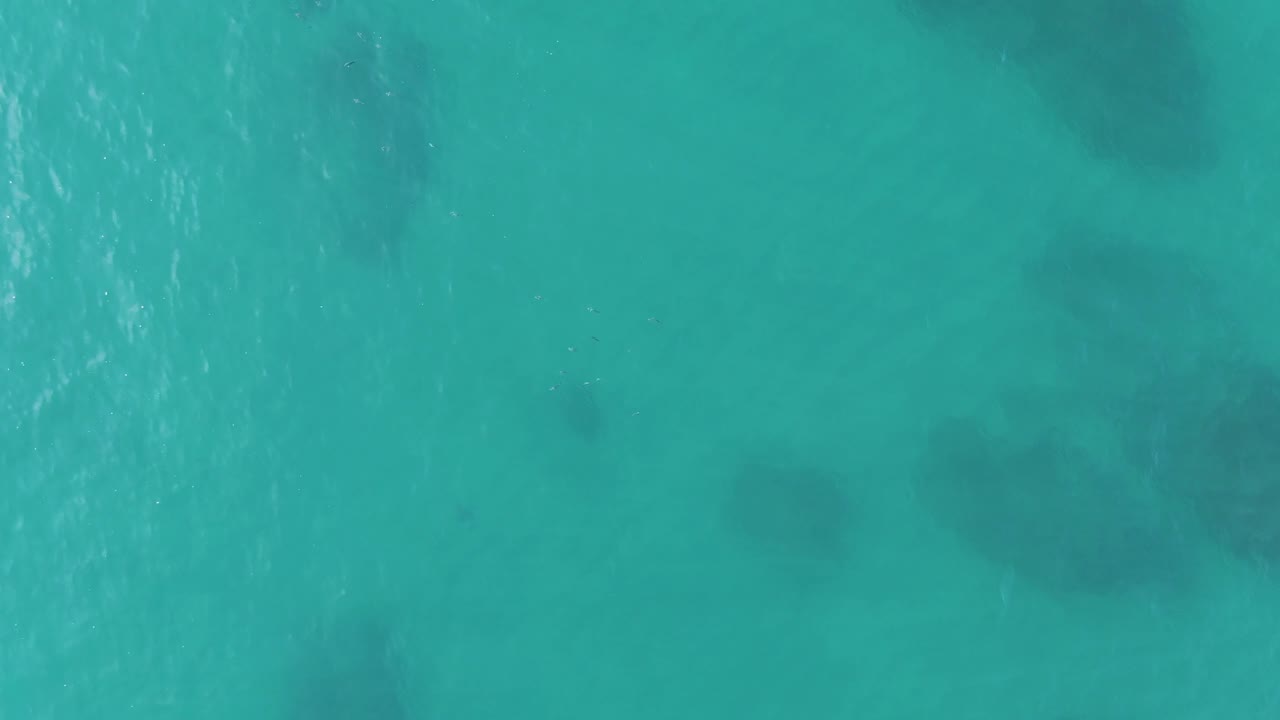 Aerial shallow water with ripples and submerged forms.