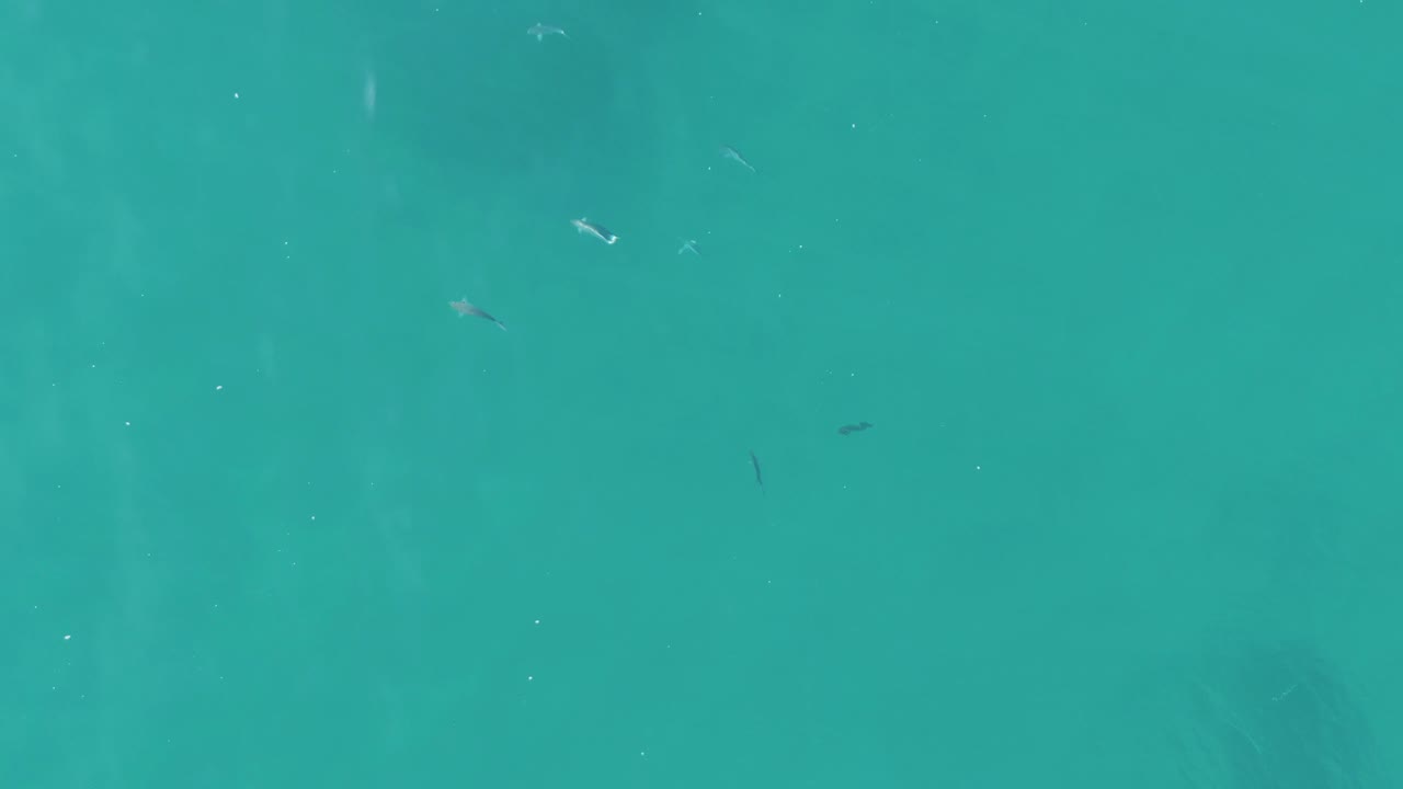 Clear turquoise water fills the frame at Buzzards Beach, East Cape, BCS, Mexico, with scattered small fish and muted darker shapes below the surface, no visible people.