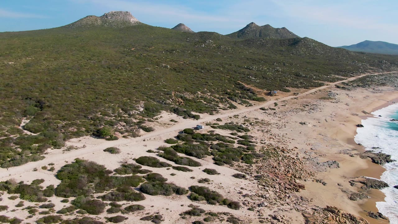 Drone view of Buzzards Beach East Cape BCS Mexico with a vehicle on the pale coastal road, clustered shrubs in the sand, surf at the beach edge, and no visible people.