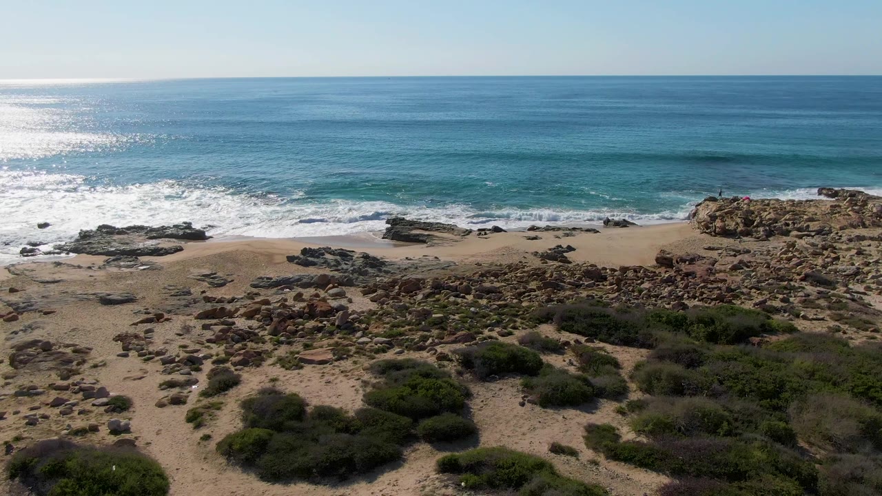 Rocky beach and low vegetation below a calm blue ocean horizon
