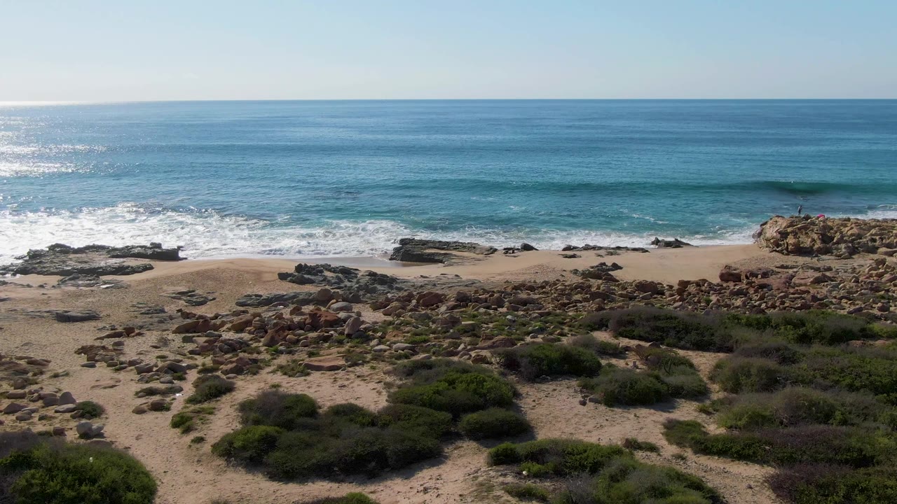 Rocky sandy beach with blue ocean waves and low shrubs
