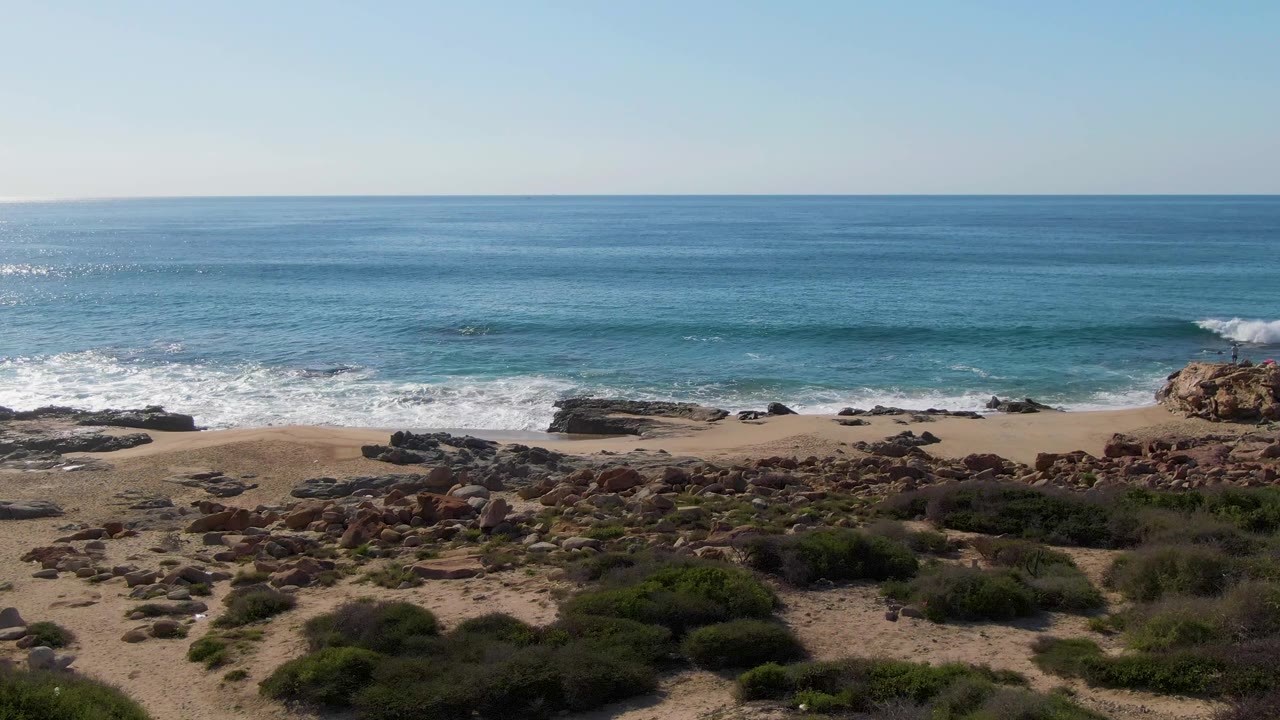 At Buzzards Beach in Mexico, the ocean horizon sits high above a sandy beach scattered with rocks and foreground shrubs, with no visible people.