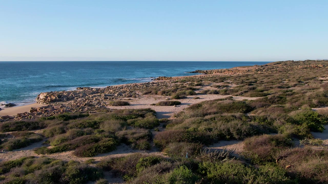 Coastal shrubs, rocky shore, small beach, and blue ocean under clear sky.