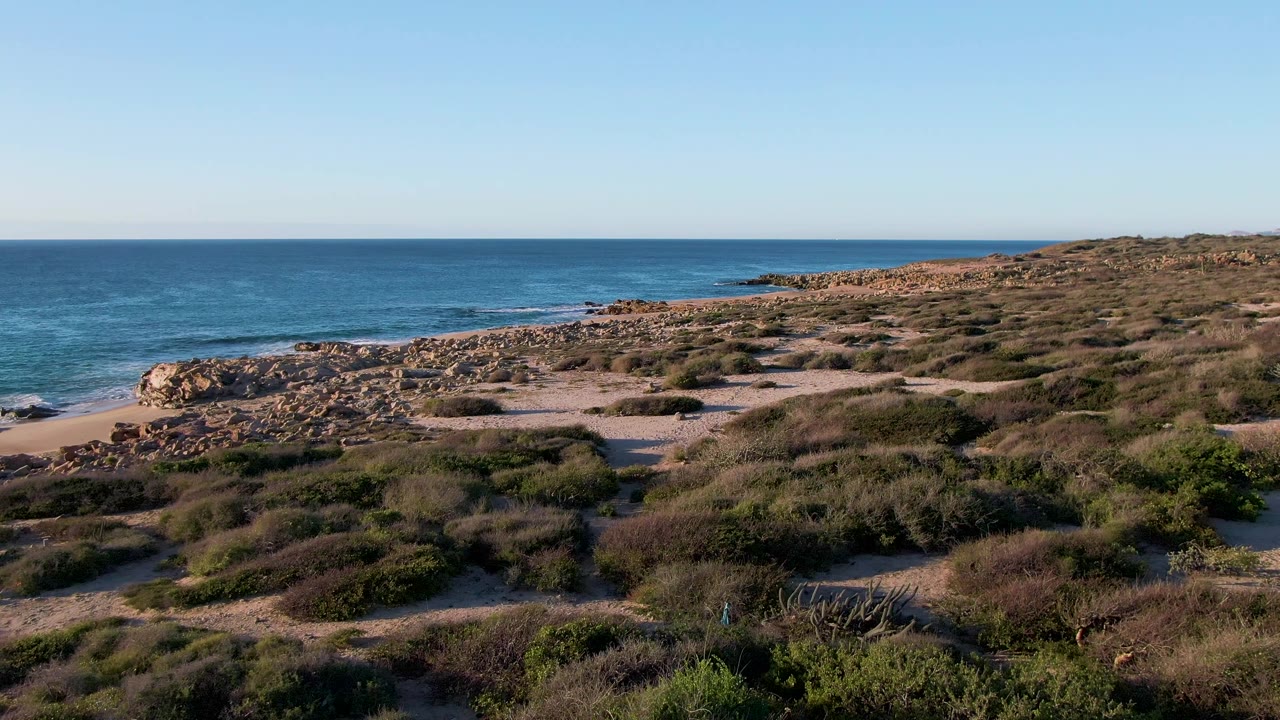 Second frame at Buzzards Beach East Cape BCS Mexico showing low bushes, pale sand, a rocky shoreline edge, ocean beyond, and no visible people.