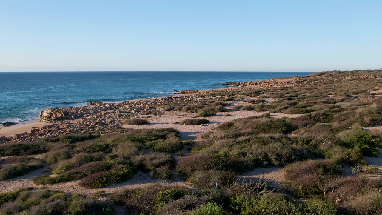 Third frame of the Mexico coast with dense foreground shrubs, sandy tracks, a rocky middle shoreline, blue water, clear sky, and no visible people.