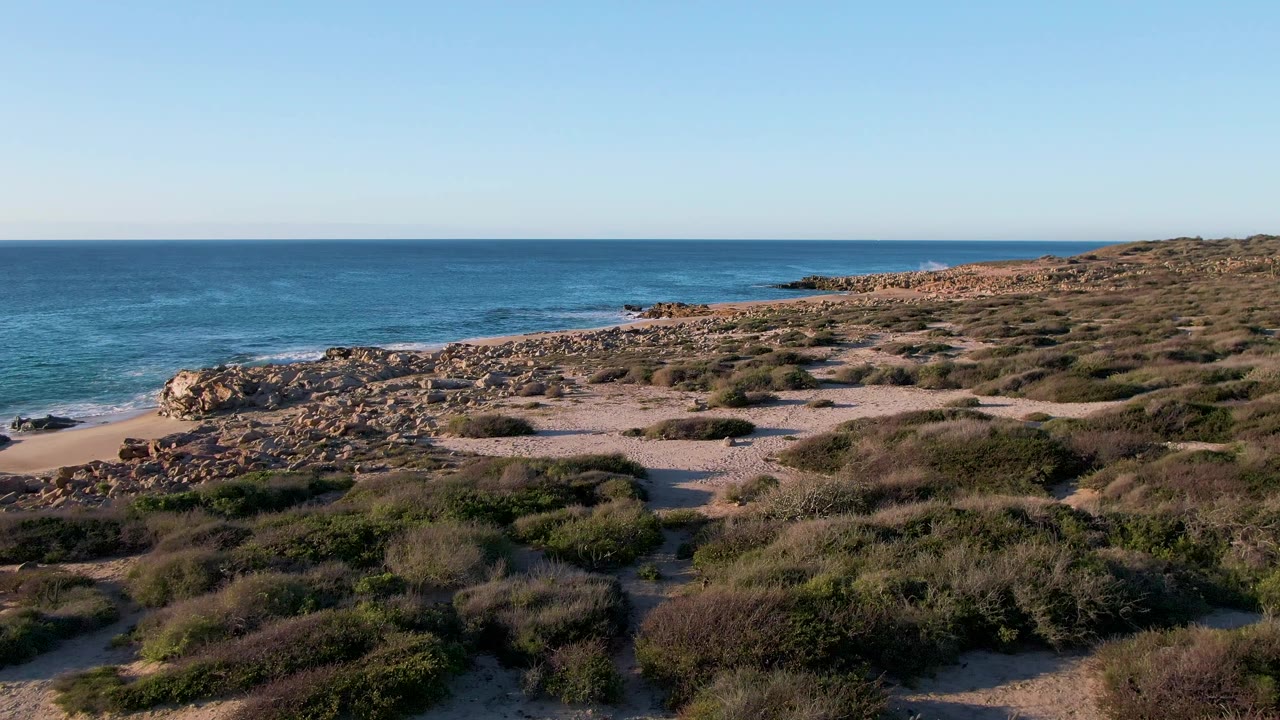 Second frame from Buzzards Beach, East Cape, BCS Mexico with dense low shrubs in the foreground, a pale rocky shelf at midframe, blue ocean behind it, and no visible people.
