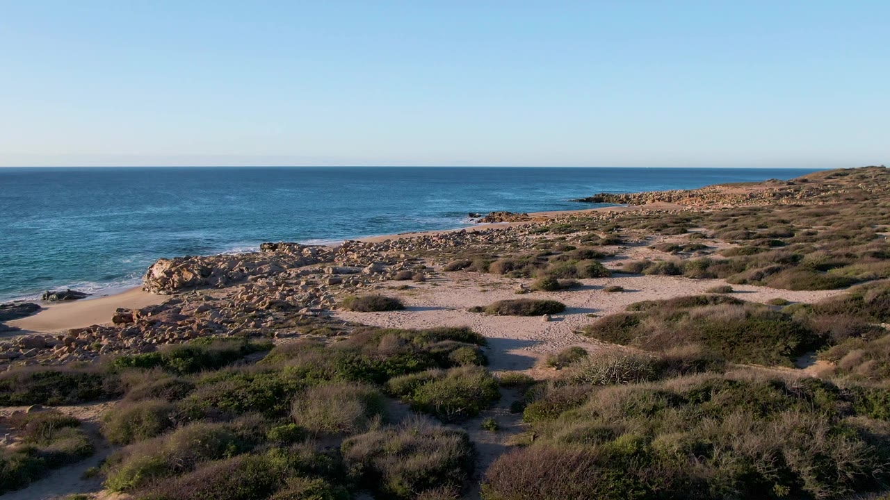 Wide coastal view with shrubs, rocks, sand, ocean, and clear sky.