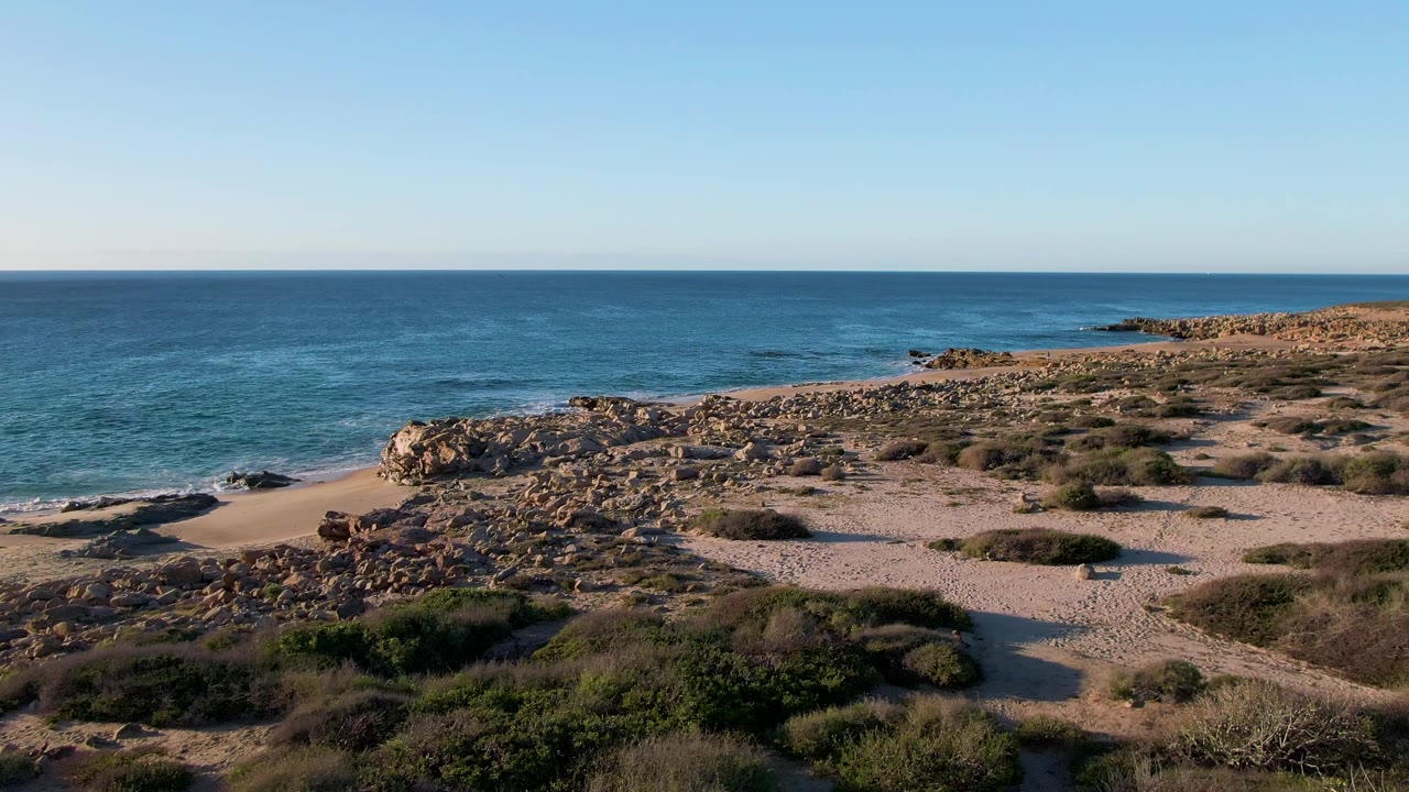 Elevated view of rocky beach, scrub-covered dunes, and ocean.