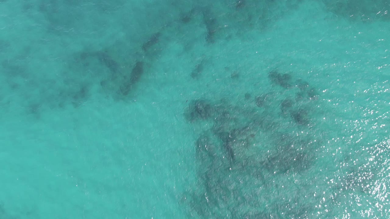 Overhead turquoise ocean water with dark seabed patches and sun glints.