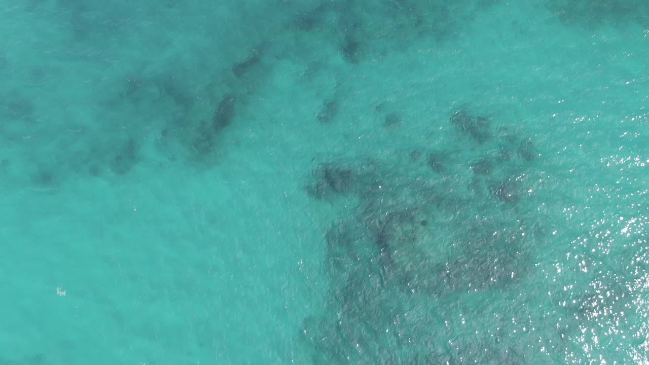 Clear turquoise water over a broad darker seabed patch at Playa El Arbolito, Cabo Pulmo, with sunlight flecks toward the lower right and no visible people.