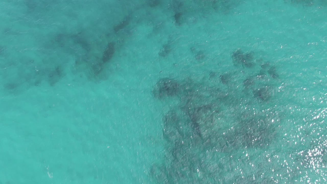 Top-down clear water at Playa El Arbolito, Cabo Pulmo, with darker seabed patches shifted across the lower half and faint wave texture, no visible people.