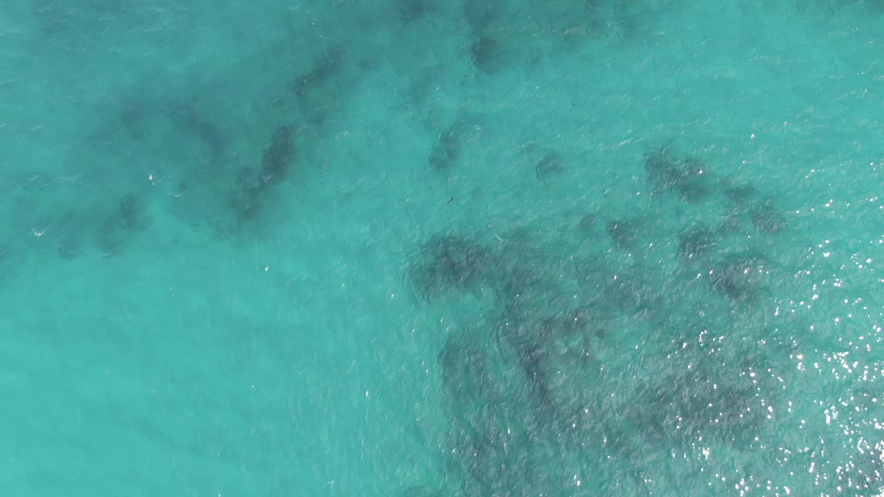 Overhead view of turquoise water at Playa El Arbolito Cabo Pulmo BCS Mexico, with dark reef patches under the surface and no visible people.