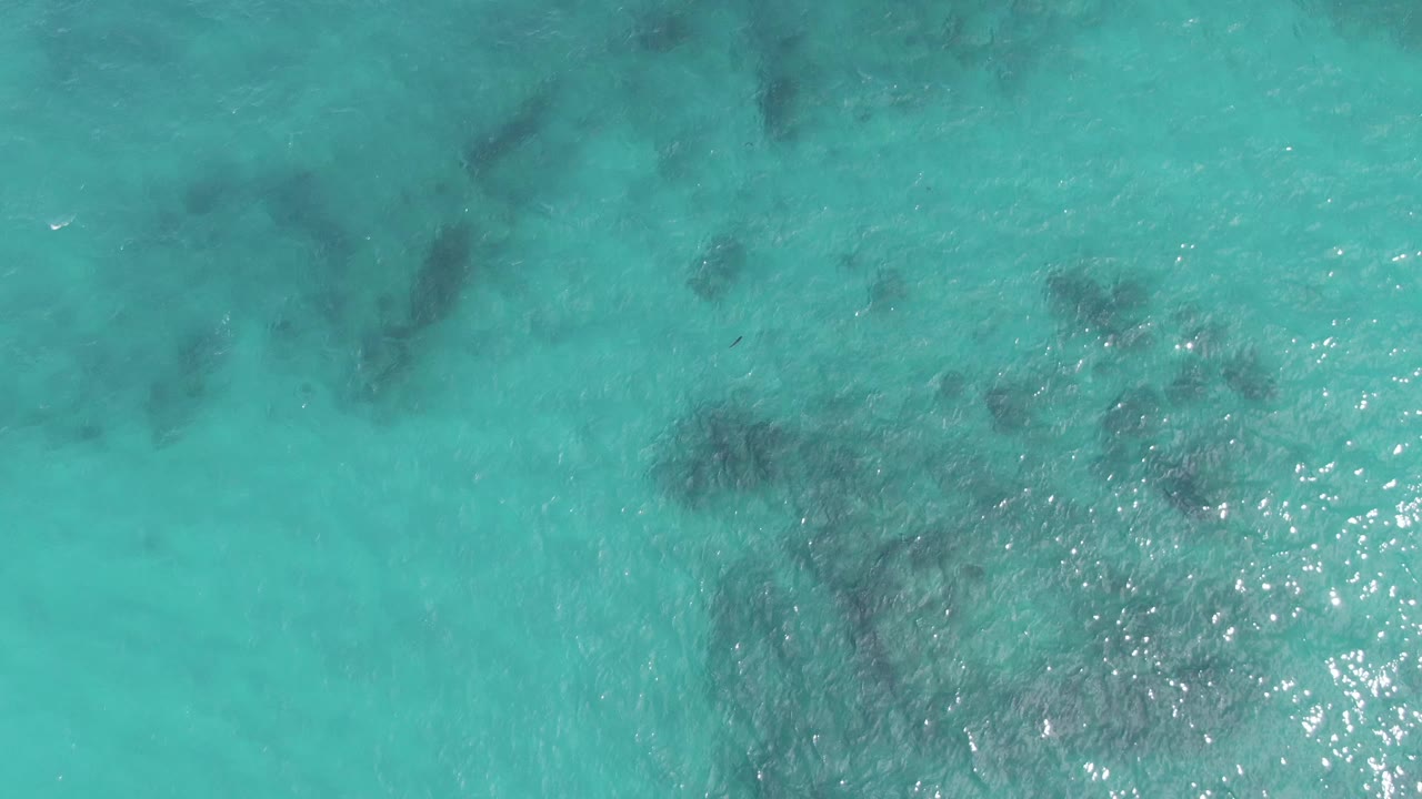 Clear turquoise sea at Playa El Arbolito Cabo Pulmo BCS Mexico, with scattered dark reef shapes below the surface and small ripples crossing the frame, no visible people.