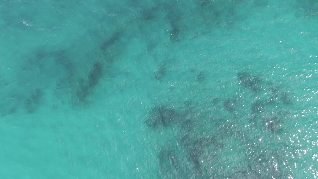 Aerial view of shallow turquoise water and submerged reef texture