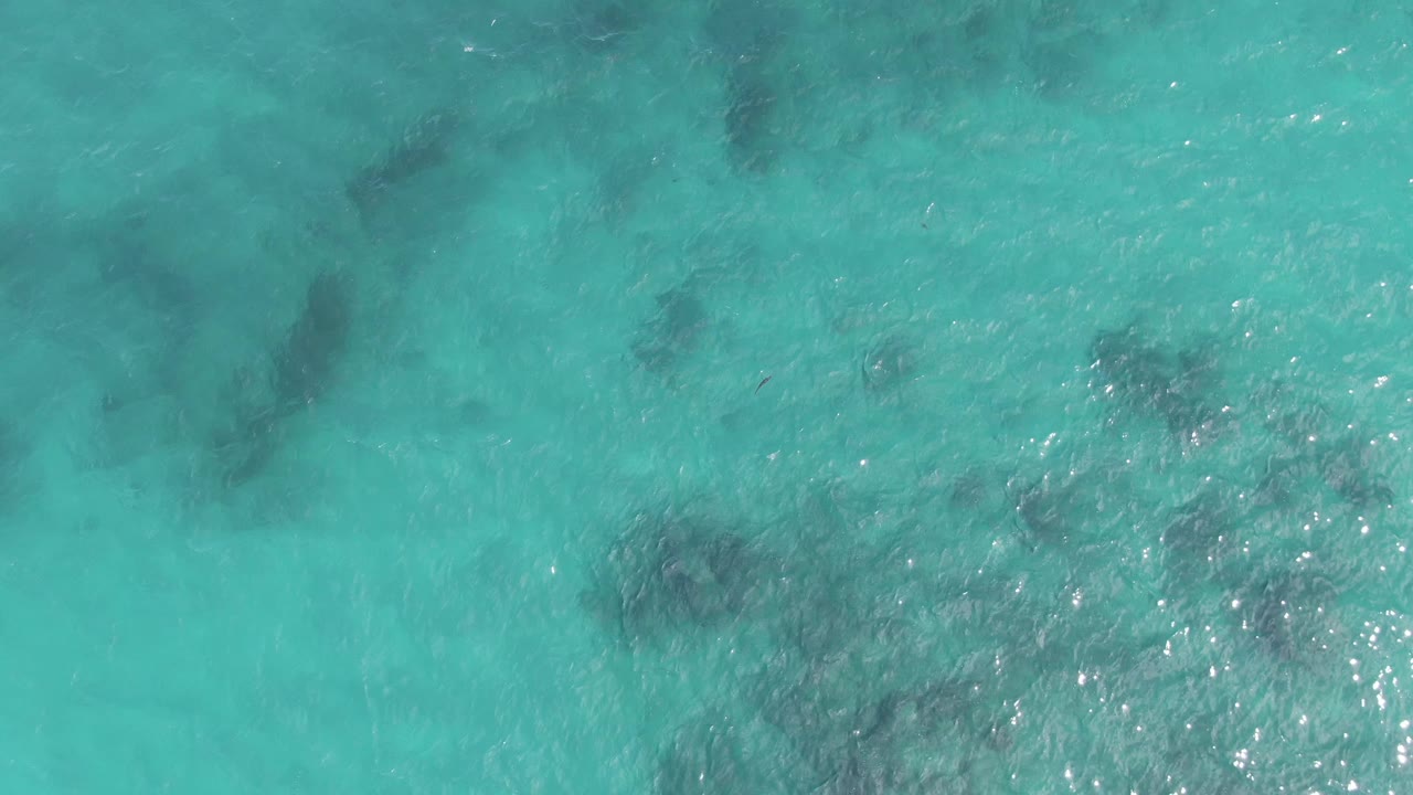 Top-down view of turquoise water at Playa El Arbolito Cabo Pulmo BCS Mexico with scattered dark coral patches and no visible people.
