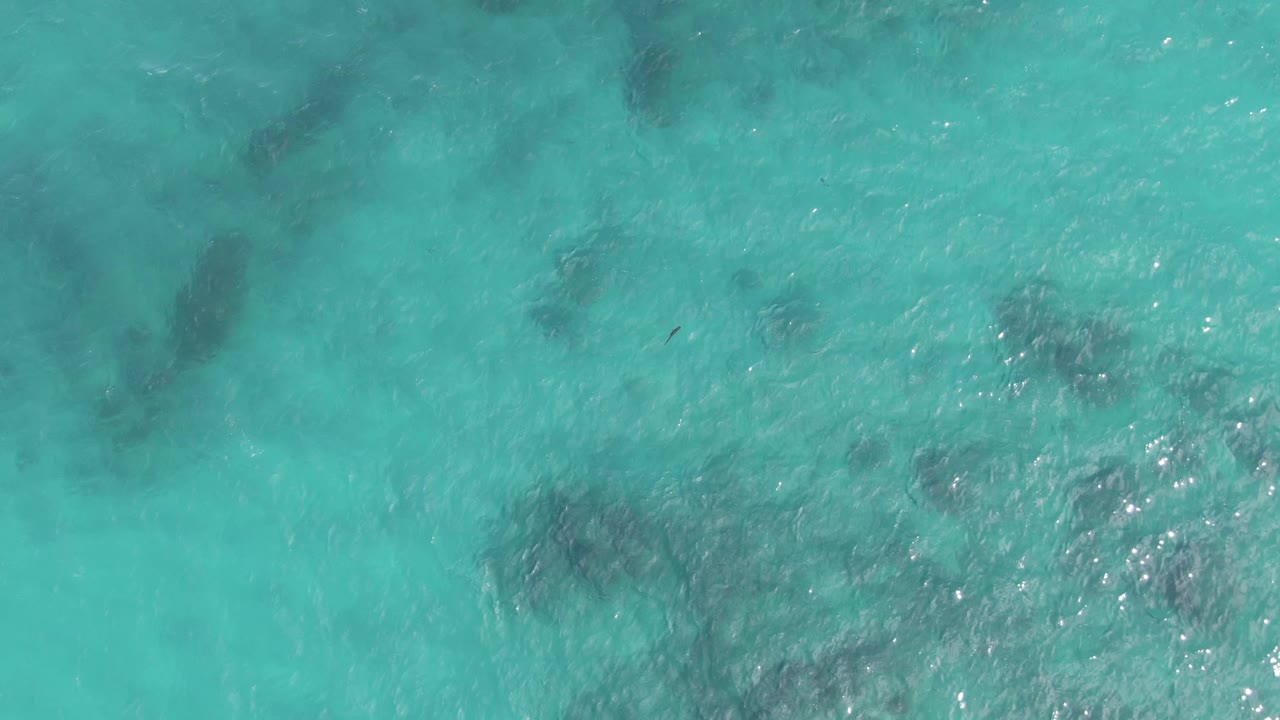 Clear turquoise ocean water at Playa El Arbolito Cabo Pulmo BCS Mexico shows darker coral areas near the center and bright ripples across the surface, with no visible people.
