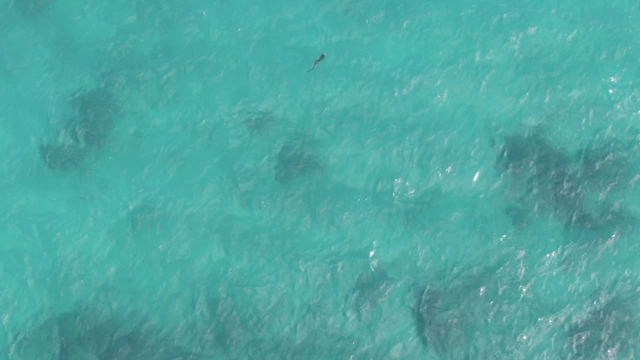 Overhead frame at Playa El Arbolito Cabo Pulmo BCS Mexico showing turquoise water, dark submerged coral or rock patches, a small floating object near the upper center, and no visible people.
