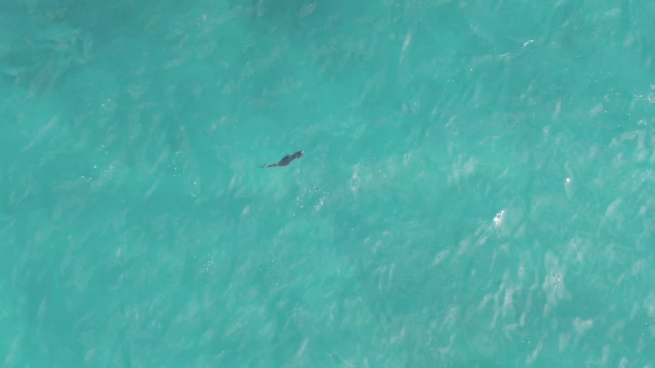 The ray sits closer to the center of the overhead frame in clear blue-green water at Playa El Arbolito Cabo Pulmo BCS Mexico, with no visible people.