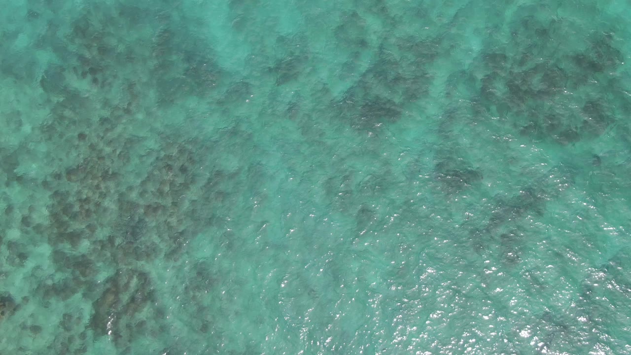 Clear turquoise ocean water at Playa El Arbolito Cabo Pulmo BCS Mexico, with clustered darker seabed areas near the center and no visible people.