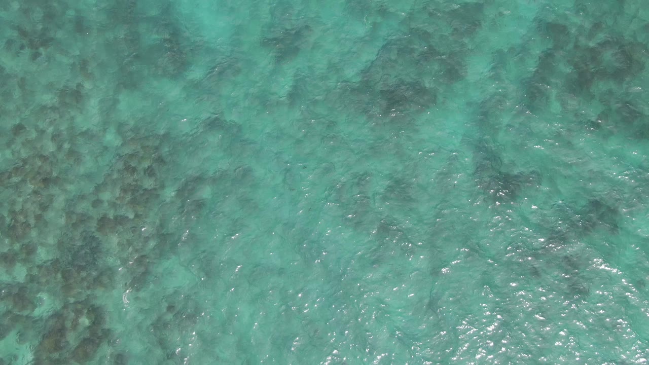 Aerial view of shallow turquoise water and mottled seabed.