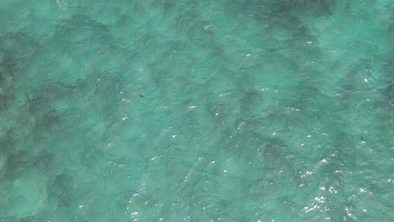 At Playa El Arbolito in Mexico, the second frame holds on turquoise ocean surface with brighter ripple highlights, faint fish below the water, and no visible people.