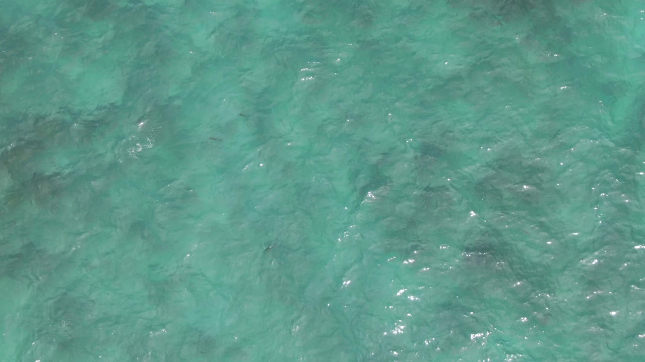 At Playa El Arbolito in Mexico, the third frame shows clear shallow sea with scattered darker patches on the seabed, a few small fish forms, and no visible people.