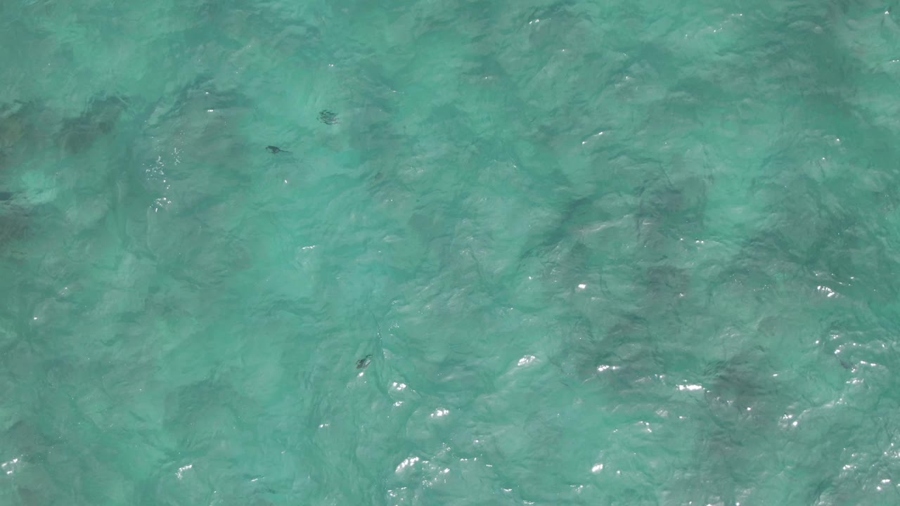 At Playa El Arbolito in Mexico, the fourth frame shows rippled turquoise water over a pale seabed with small dark fish marks spread across the frame and no visible people.