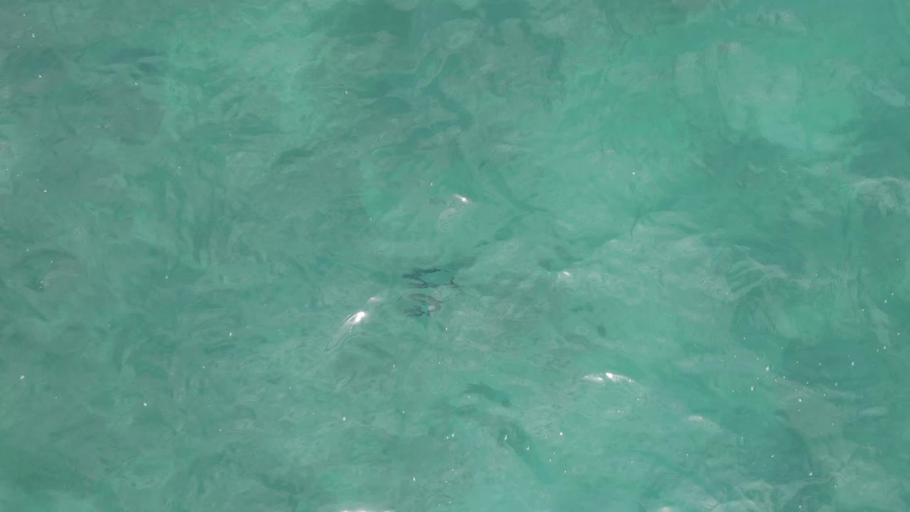 Clear turquoise water at Playa El Arbolito in Cabo Pulmo, Mexico, with soft ripples, faint underwater shadows, and no visible people.