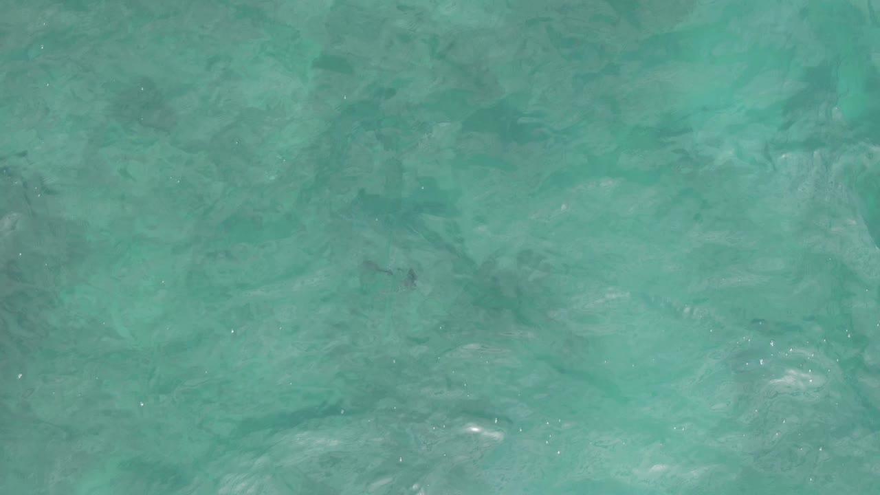 Turquoise seawater at Playa El Arbolito in Cabo Pulmo, Mexico, showing overlapping surface ripples, small sun glints, and no visible people.