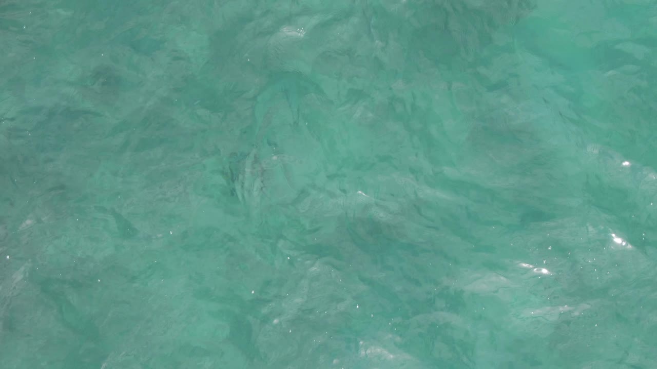 Clear green-blue water at Playa El Arbolito in Cabo Pulmo, Mexico, with mottled underwater tones, low ripples, and no visible people.