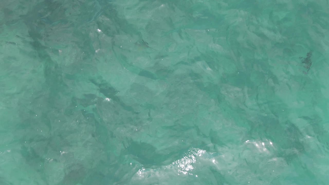 Clear turquoise water at Playa El Arbolito Cabo Pulmo BCS Mexico fills the frame with soft ripples, visible seabed patterns, and no visible people.