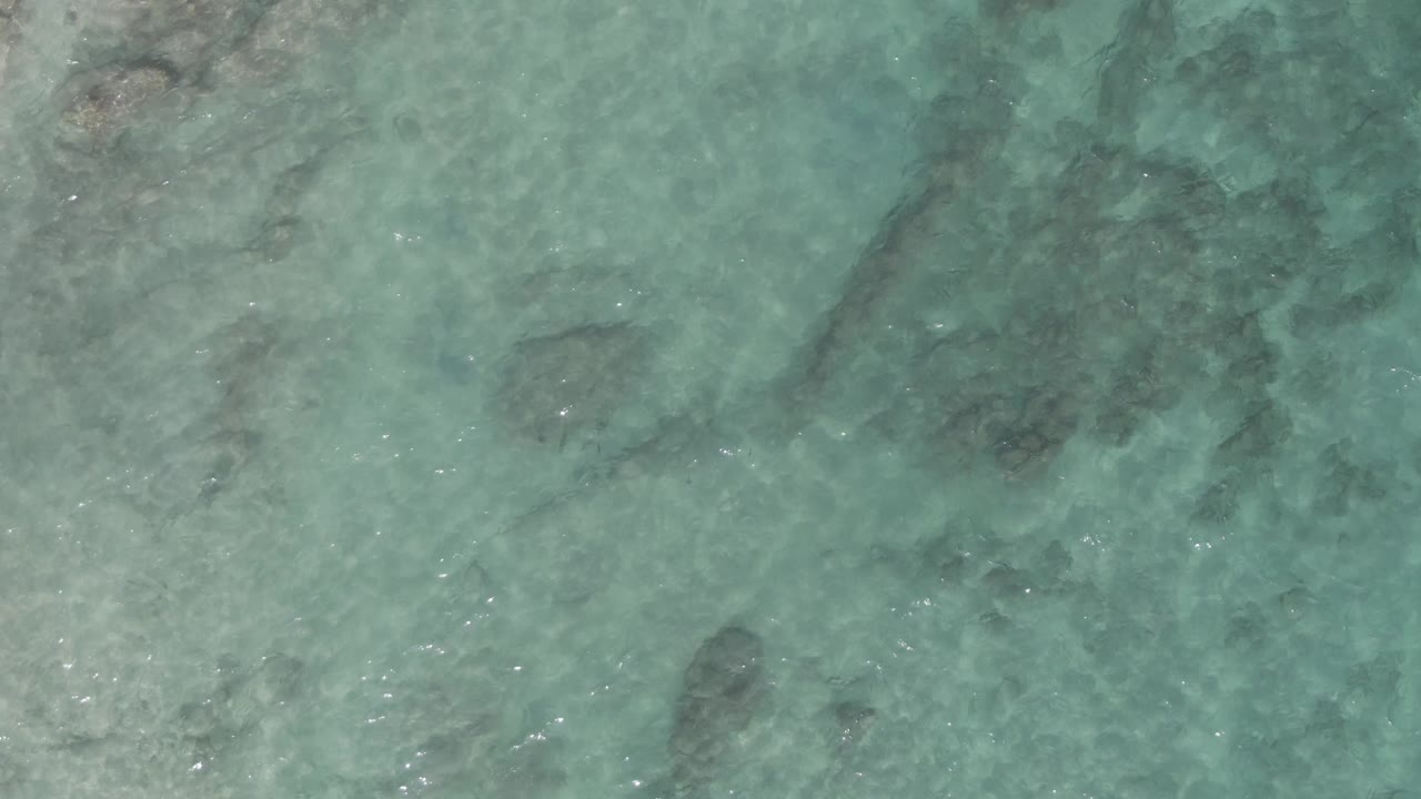 Overhead view of clear turquoise water at Playa El Arbolito Cabo Pulmo BCS Mexico, with dark submerged rocks near the upper and lower edges and no visible people.