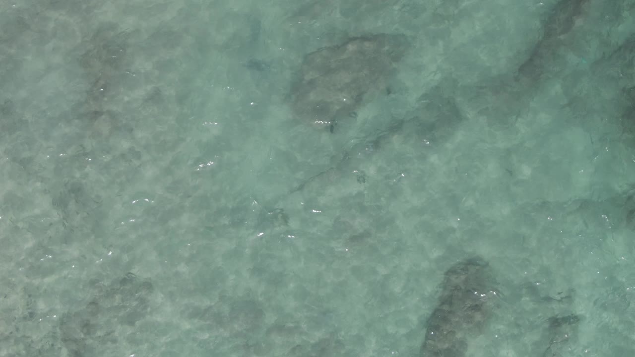 Overhead view of clear turquoise water at Playa El Arbolito Cabo Pulmo, with submerged rocks, scattered small fish, sun ripples, and no visible people.