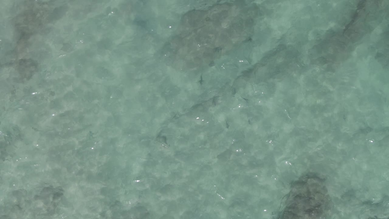An overhead Playa El Arbolito Cabo Pulmo frame shows turquoise water, larger dark rock forms, faint fish silhouettes, and no visible people.