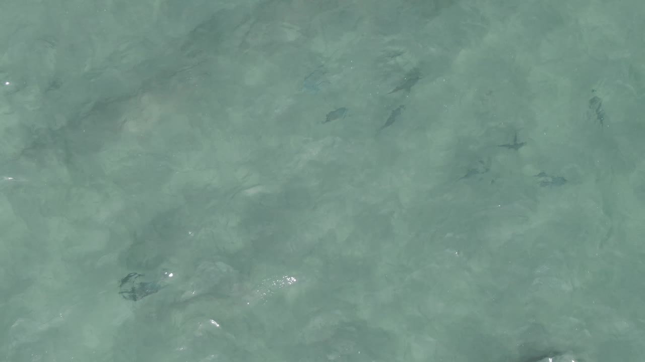 Clear turquoise shallow water at Playa El Arbolito, Cabo Pulmo, Mexico shows scattered small fish under soft surface ripples with no visible people.