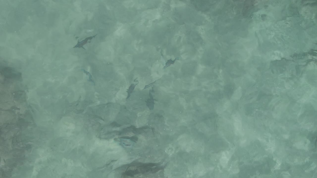 Fish remain visible under clear shallow water in Mexico, with soft surface glare, green-blue color, pale sand patches, darker rocks, and no visible people.