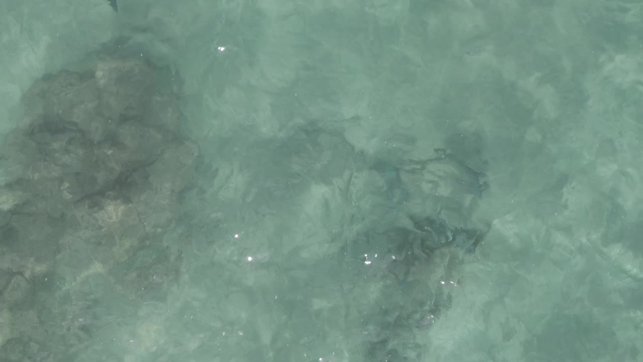 Clear shallow water at Playa El Arbolito Cabo Pulmo BCS Mexico shows submerged rocks, faint fish shapes, rippled turquoise-green surface, and no visible people.