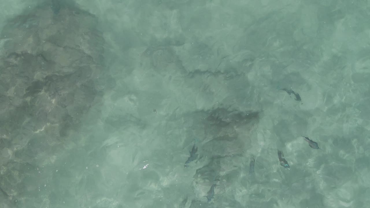 Turquoise shallow water covers uneven rocks and dark fish shapes at Playa El Arbolito Cabo Pulmo BCS Mexico, with wavering light and no visible people.