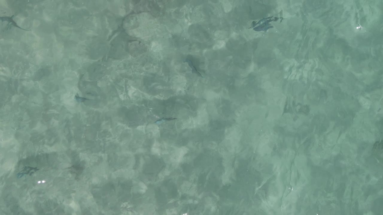Playa El Arbolito Cabo Pulmo BCS Mexico shallow water fills the frame with faint small fish shapes, layered ripples, light caustics, and no visible people.