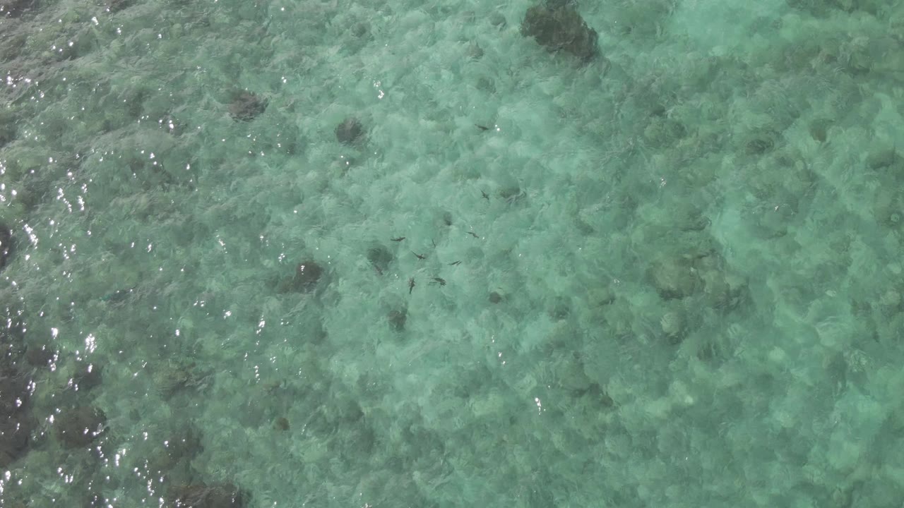 Overhead view of shallow turquoise water at Playa El Arbolito Cabo Pulmo BCS Mexico, with dark submerged rocks and no visible people.