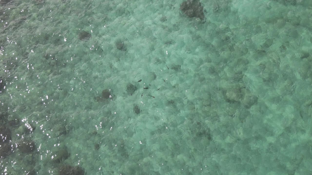 Clear green-blue seawater with ripples and rocky bottom