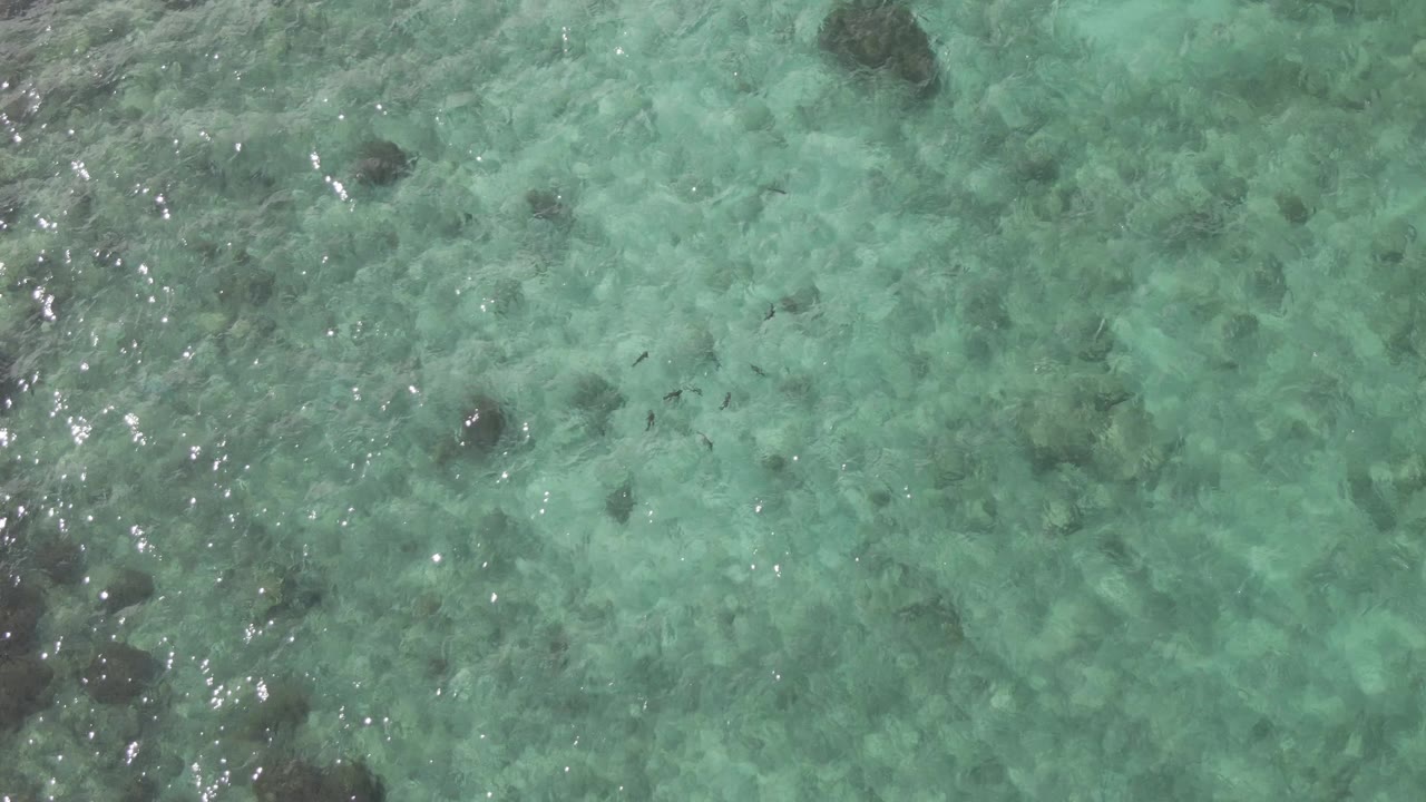 Overhead frame of shallow turquoise water at Playa El Arbolito Cabo Pulmo BCS Mexico, with brighter sun glints crossing darker underwater rocks and no visible people.