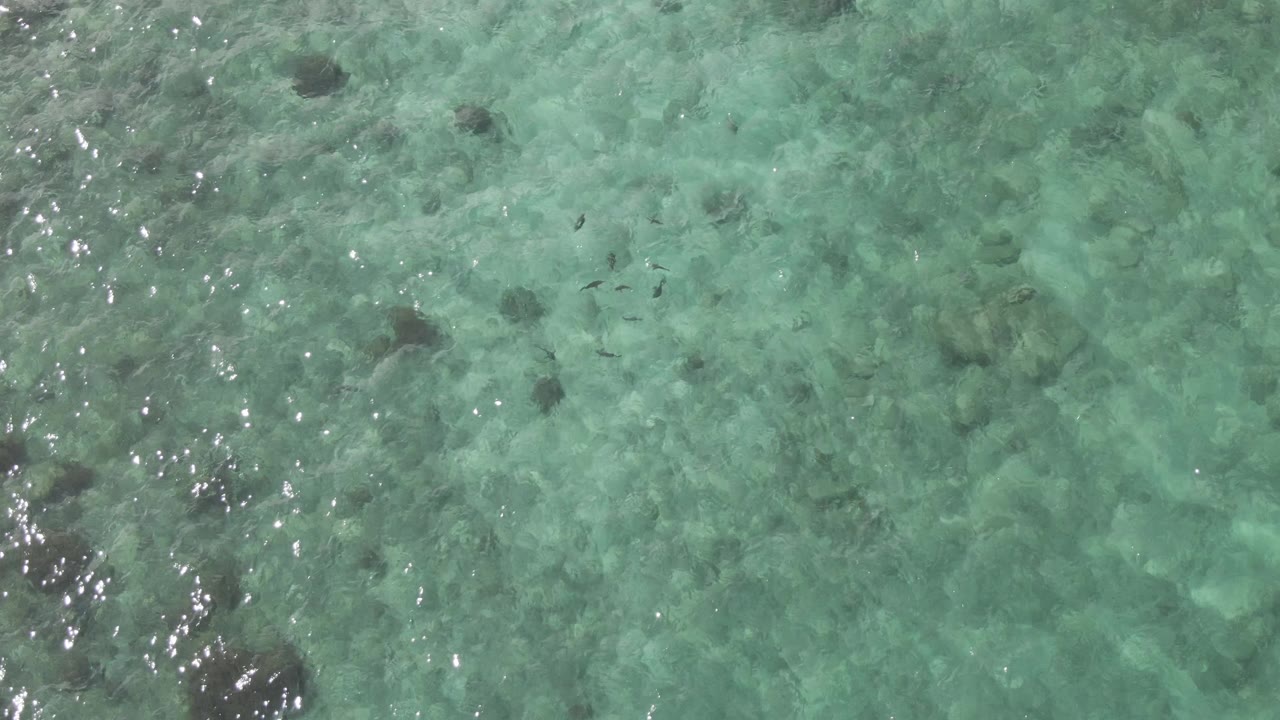 Clear turquoise water over rocks and small fish