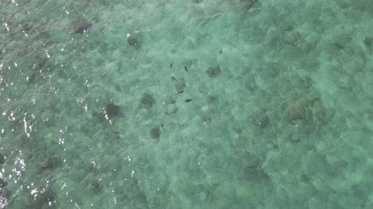 Green-blue shallow water at Playa El Arbolito Cabo Pulmo, Mexico, reveals fish over a rocky seabed, with small surface highlights and no visible people.
