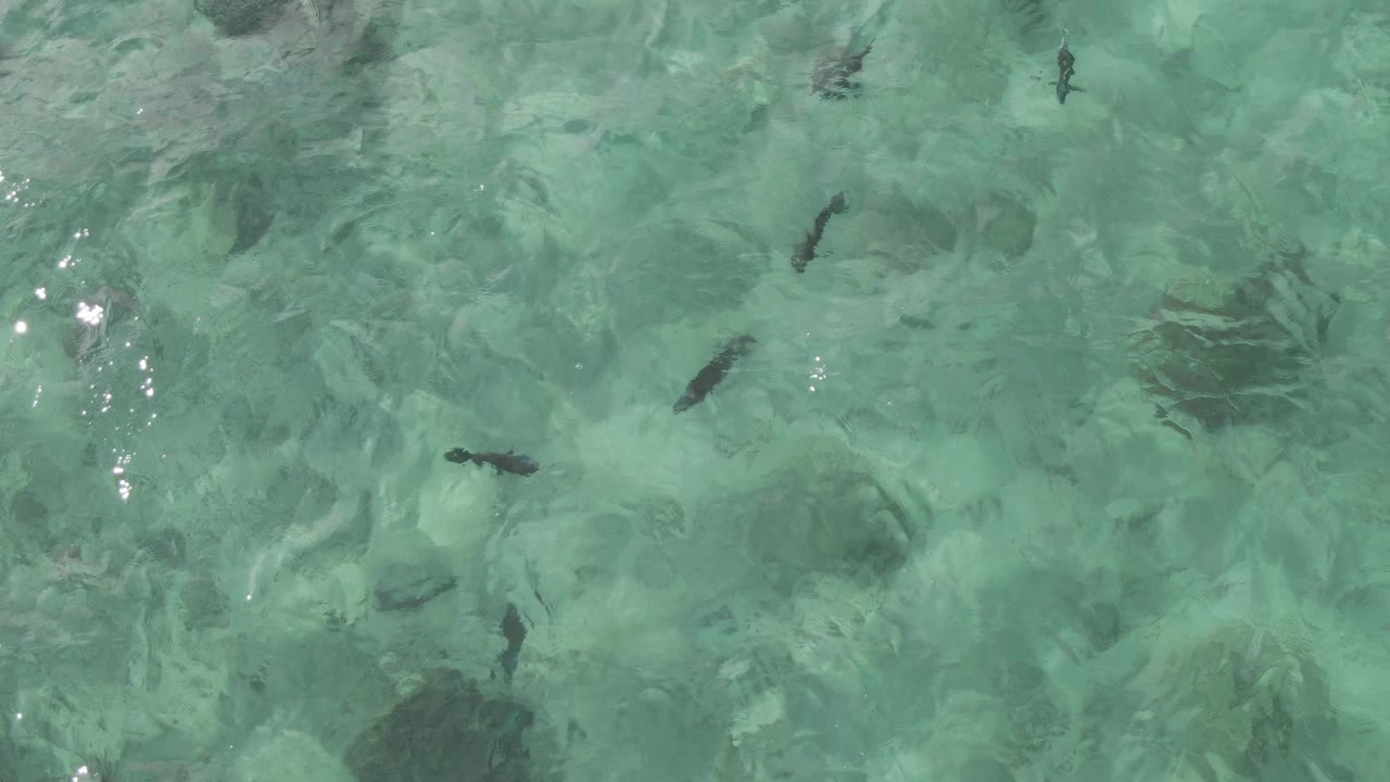At one second, the Playa El Arbolito water remains clear enough to see fish silhouettes and shifting ripple patterns, with no visible people.