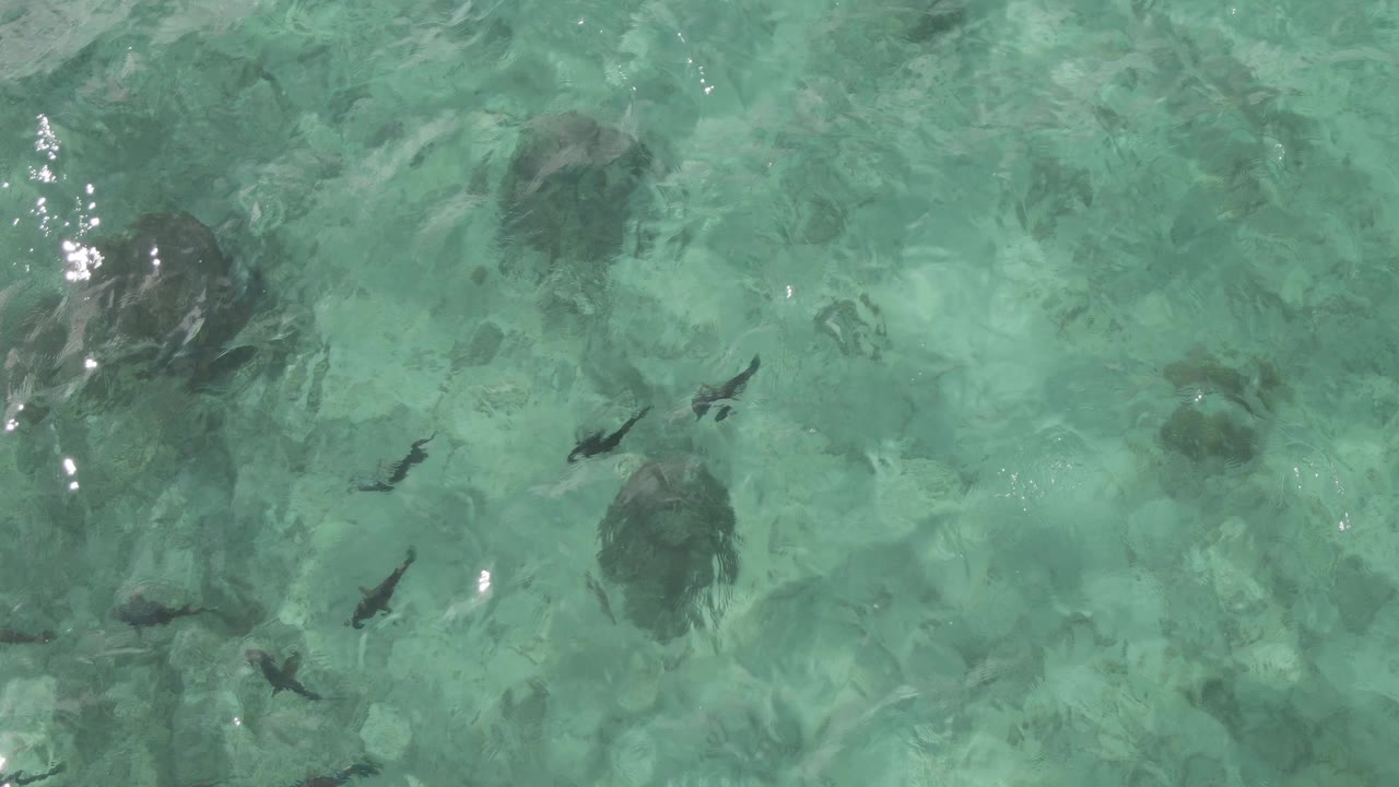 At two seconds, the overhead view shows fish crossing clear turquoise water near bright surface reflections and darker rock patches, with no visible people.