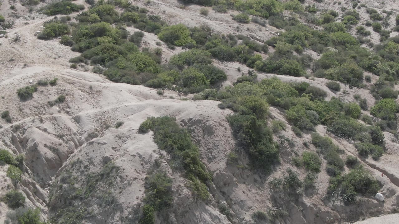 Pale eroded hillside with green shrubs and gullies.
